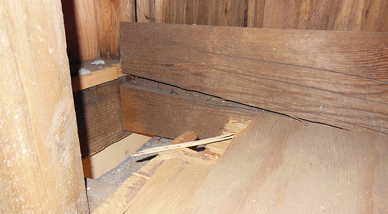 35644833410179DSCN2212 - Thumbnail