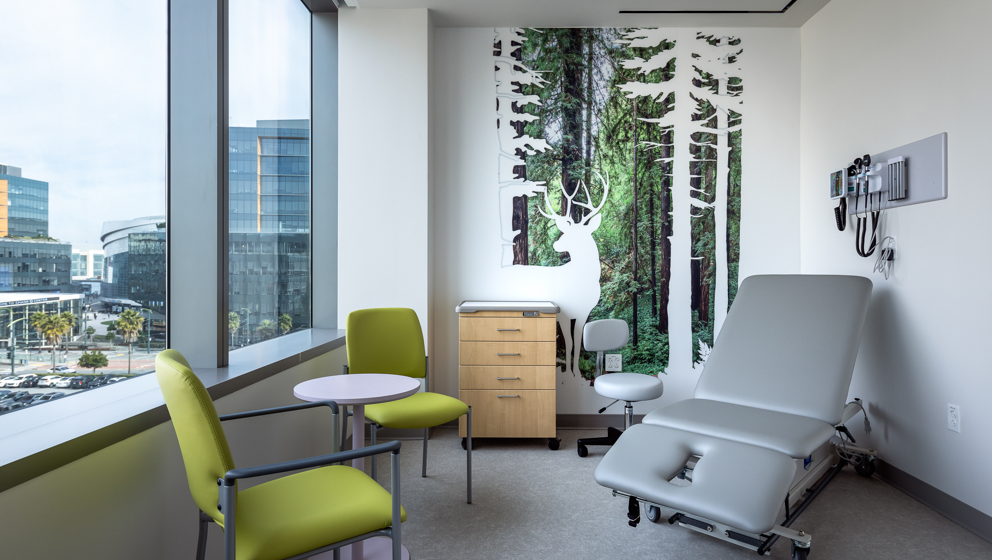 UCSF Stad Center for Pediatric Pain-4