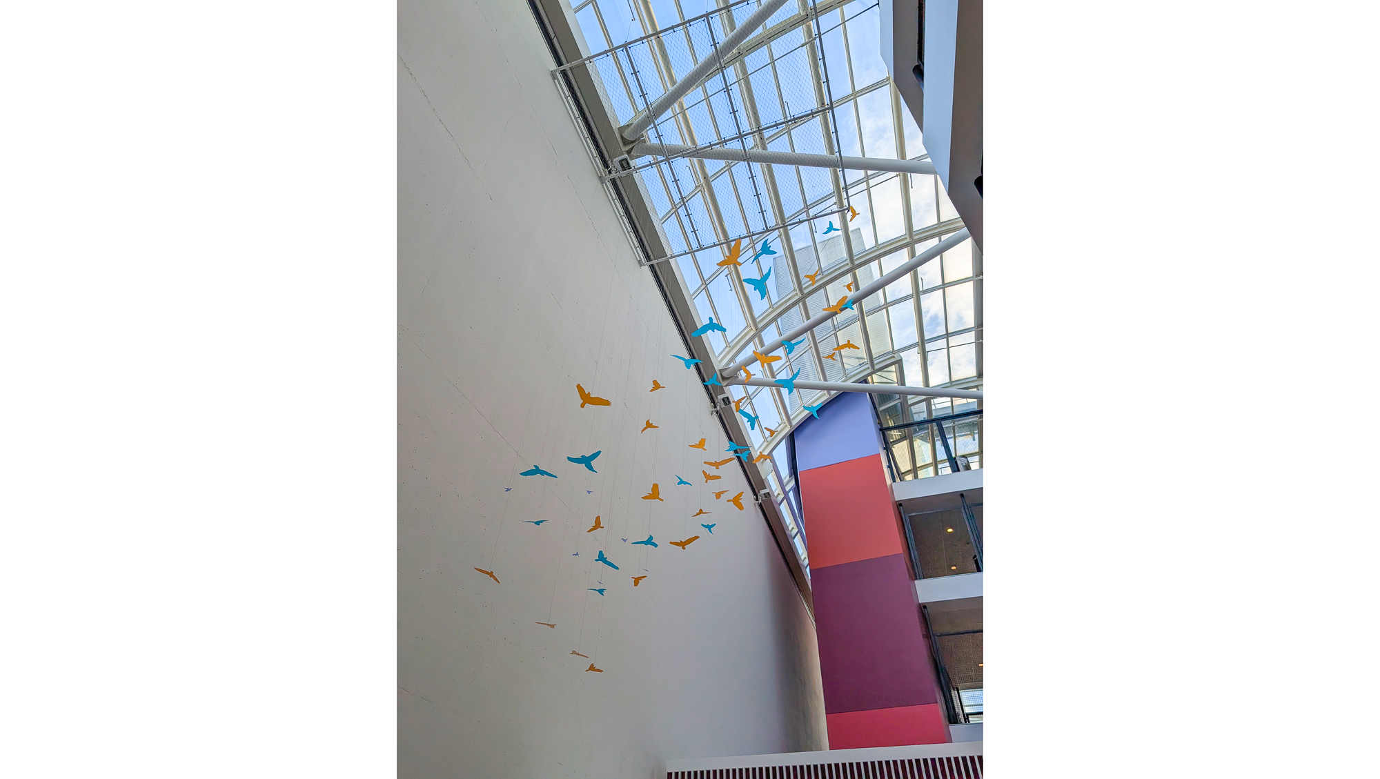 UCSF Benioff Childrens-12